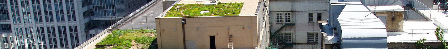 garden roofing 1